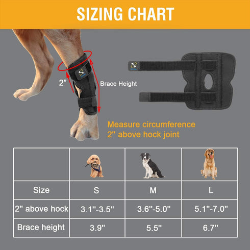 Powerful Dog Canine Rear Leg Hock Joint Brace - Large Compression Wrap for Dog Back Leg Support