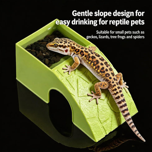 Generic Animal Habitat Dish - Purpose Reptile Bowl | Turtle and Small Creature Ornament with Integrated Shelter Perfect