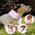 2 Pcs Dog Cooling Bandana Collar, Adjustable Pet Scarf with 10 Recyclable Ice Packs for Medium Dogs and Cats