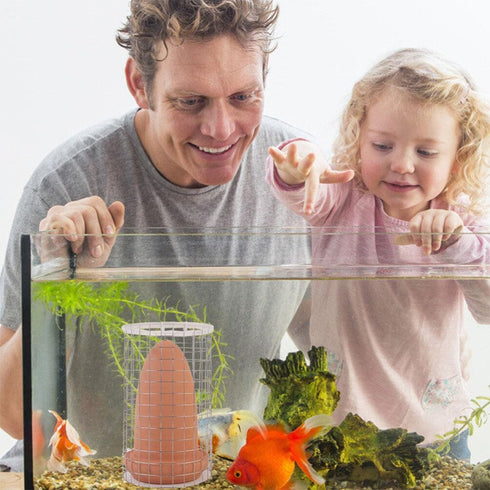 Ipetboom Spawning Bucket Set, Slate Stone Aquarium Angel Fish Live Angelfish Spawning Cone for Fish Eggs Cones Clay Rock