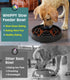WHIPPY Large Slow Feeder Dog Bowls for Medium Large Dogs, Anti-Choking Slow Feeding Maze Puzzle Bowl, Black