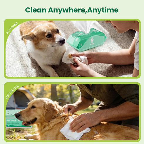 100 Counts, Pet Wipes for Dogs & Cats, Extra Moist & Thick Grooming Puppy Wipes with Fresh Aloe Vera/Nature