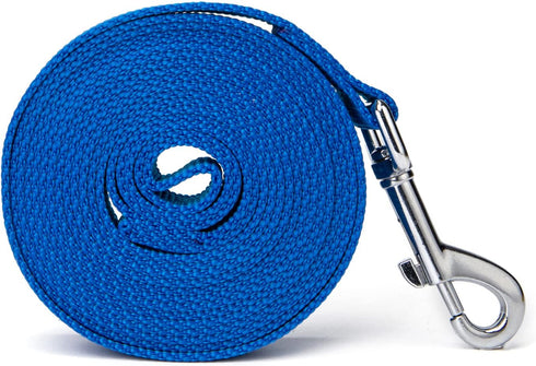 Strong Durable Nylon Dog Training Leash, 1 Inch Wide Traction Rope, 6ft 10ft 15ft Long for Small Medium Dog (Blue, 10