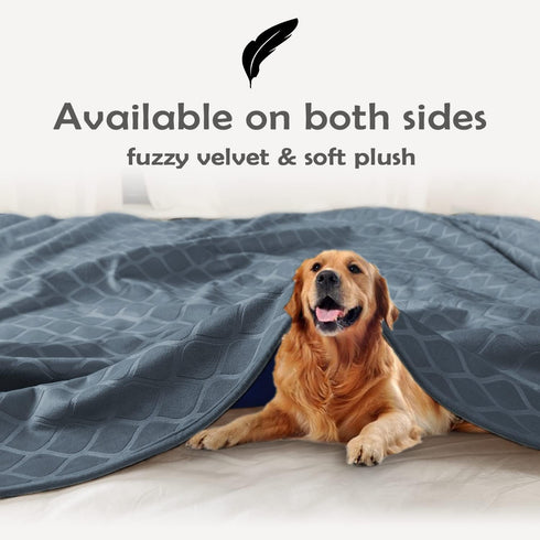 fuguitex Waterproof Dog Blanket Bed Cover - Dog Crystal Velvet Moroccan Fuzzy Cozy Plush Pet Blanket Throw for Couch