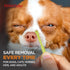 Tick Removal Tool for Dogs, Cats, and Humans, Ultra-Safe Tick Twister, Pain-Free Ticks Remover, 1 Pack of 3