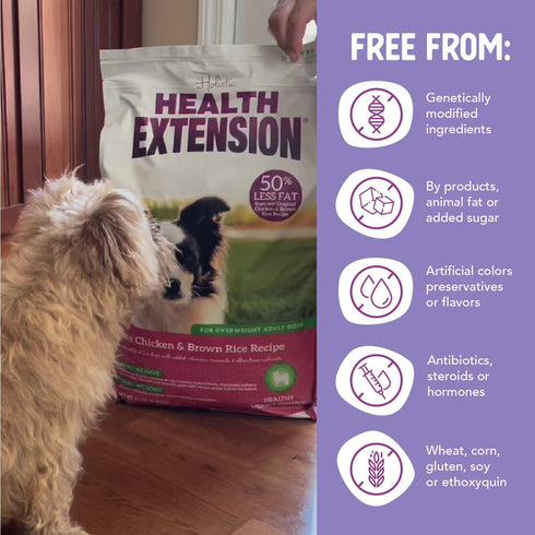 Health Extension Weight Control Dry Dog Food, Natural Lite Chicken & Brown Rice Recipe for Overweight Adult Dogs (1 lbs