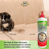 Parker Bailey Pet Stain & Odor Eliminator, 16 oz Bottle