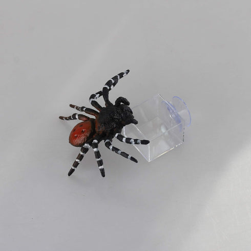 Crapelles 4 Pcs Mini Insect Water Dish, Transparent Plastic Small Reptile Feeding Feeder for Crickets and Worms
