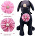 PET SHOW Valentines Flower Charms Slide Collar Accessories for Small Dogs, Medium Large Dogs, Cats, Puppies, Rabbits,