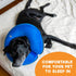BENCMATE Inflatable Dog Cone Collar Alternative, Soft Dog Cone for Small Medium Large Dogs, X-Large, Blue