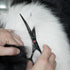 Set Dog Grooming Scissors Kit, Fcysy Professional Pet Hair Cutting Shears with Curved & Straight Blades Scissors