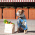 4 Pieces Pet Summer T-Shirts, Hawaii Style Floral Dog Shirt Hawaiian Printed Breathable Cool Clothes for Small Puppy