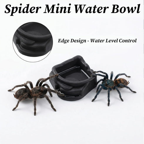 Aysatogc 6 (1.65" 0.59" Pcs Spider Micro Water Bowl, Mini Resin Dish Tiny Bowl Enclosure Accessories for Tarantula