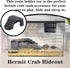 JLEivvi 1 Pcs Hermit Crab Hideout Universal Hermit Crab Accessories Resin Climbing Toys for Reptile Amphibians Supplies