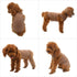 2018 Pet Clothes Dog Clothing - Blank T-Shirt Tanks Top Vests for Small to Large Dogs, 100% Cotton Summer Vest (XL,