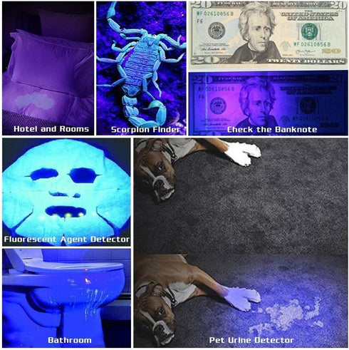 ULTRAFIRE 501B UV Flashlight Adjustable Focus 395nm Mini Black Light, Pet Urine Detector for Curing and Stains