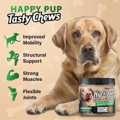 Glucosamine for Dogs Chewable, Joint Supplement for Dogs for Mobility Support, Glucosamine Chondroitin Chews