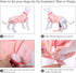 IDOMIK Dog Recovery Suit for Female Spay, Adjustable Anti-Licking Onesie, Soft Wound Bandage & E-Collar