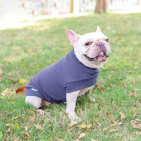 Small Dogs Fleece Sweatshirt - Cold Weather Hoodies, Thickening Warm Cat Sweater for Small Dog, Cat, Puppy (Small,