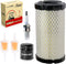 Roykaw Golf Cart Tune Up Kit for Club Car Precedent 2004-up Gas Models with FE350 Motor
