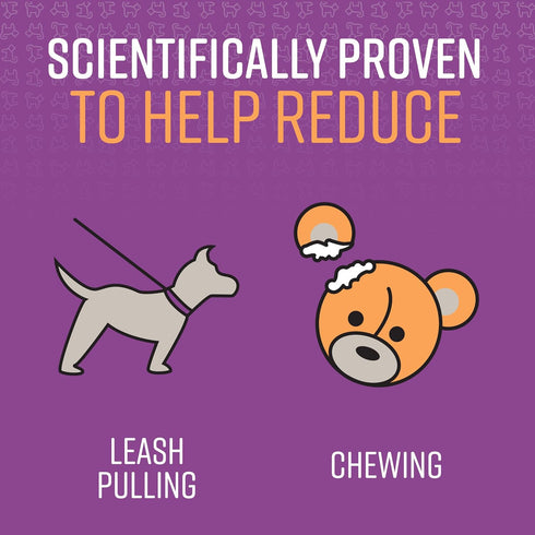 Sentry Pet Care Stop That! Behavior Correction Spray for Dogs - Easy Spray Application to Eliminate Excessive Barking