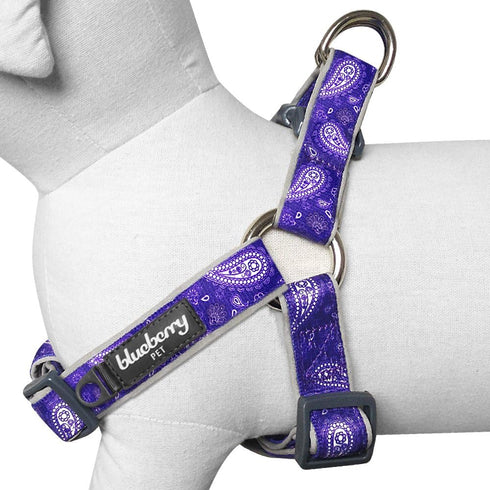 Blueberry Pet 5 Colors Soft Step-in Paisley Flower Print Dog Harness - Adjustable Medium Harness, Chest Girth 20" - 26"