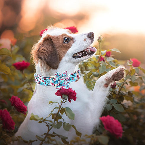 Elegant Little Tail Dog Collar with Flower, Adjustable Floral Print Summer Cute Collar for X-Large Dogs