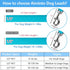 Braided Rope Dog Leash for Medium/Large Dogs, Walking Training Lead, 2FT, Light Blue