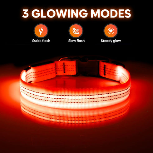 Illumifun LED Dog Collar - USB Rechargeable Light Up Reflective Pet Safety Collar (Orange?, Medium)