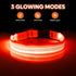 Illumifun USB Rechargeable LED Dog Collar Light Up Adjustable Blinking for Large Dogs (Orange?, Large)