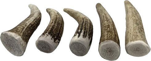 Elk Antler Chews for Dogs | Naturally Shed USA Collected Premium A-Grade Elk Antlers | 5-Pack Small Whole