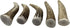 Elk Antler Chews for Dogs | Naturally Shed USA Collected Premium A-Grade Elk Antlers | 5-Pack Small Whole