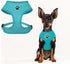BINGPET No Pull Dog Harness, All Weather Mesh Step-in Vest for Small Dogs, Breathable Mesh Puppy & Cat Harness