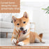 SPEREELER 6 Pack Dog Bones Chew Toys for Aggressive Chewers, Real Chicken Flavor,Indestructible Dog Teething Chew Toys