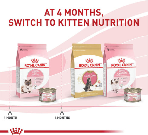 Royal Canin Feline Health Nutrition Mother & Babycat Dry Cat Food for Newborn Kittens and Pregnant or Nursing Cats, 6