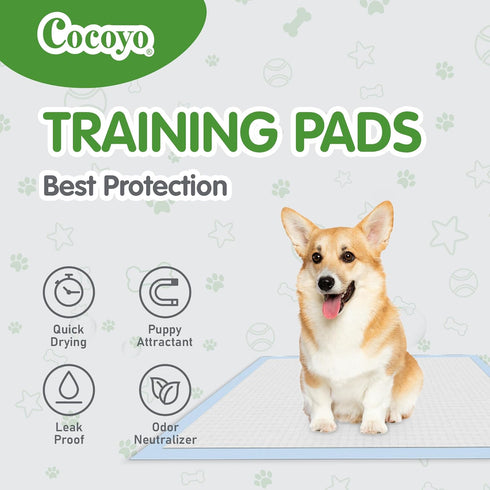 COCOYO Best Value Dog Training Pads, Giant Size XXXL, Super Absorbent Puppy Pads (30" x 45", 30 Count)