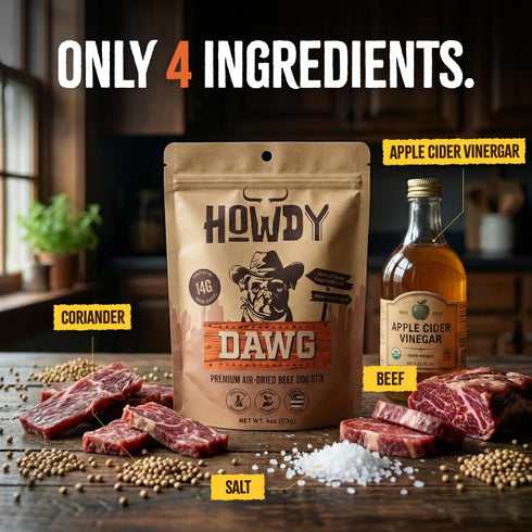 (4 Pack) Howdy Dawg Beef Sticks for Dogs Raw, Cured, Air Dried Beef Stick Treats w/Apple Cider Vinegar, Salt