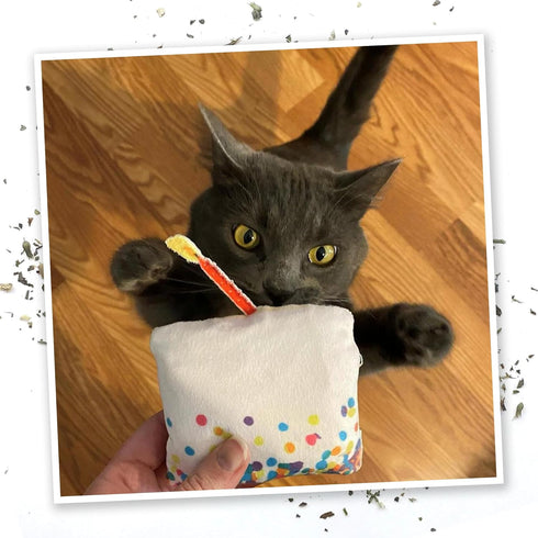 Meowijuana Birthjays Bundle, Catnip Joints and Get Lit Cake Refillable Toy, Hand Harvested Catnip