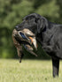 Ultimate Teal Hunting Dog Training Scent and Realistic Teal Duck Dummy, Waterfowl Puppy Gundog Training Kit