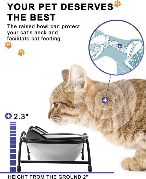 Y YHY Raised Cat Bowls, 12 oz Ceramic Elevated Food and Water Dishes with Stand, Dishwasher Safe for Cats and Small Dogs