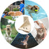DAN RIVER Large Dog Towels for Drying, 100% Cotton Puppy Bath Towel, Ultra Soft 450 GSM, 20x40 inches, Cannoli Cream