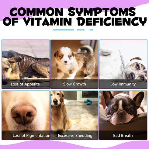 Oimmal 15 1 Immunity, 2 oz in Dog Multivitamin, All-in-One Multi Liquid Multivitamin for Dogs, Dog Vitamins