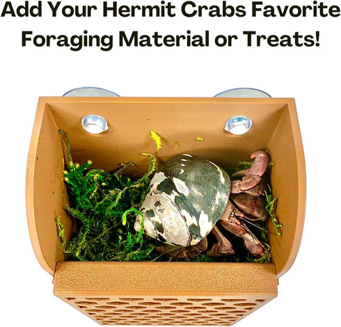 Lucky Critter Hermit Crab Climbing Wall Foraging Basket | Tank Enrichment Decor | Hermit Crab Habitat Decoration