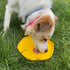 Hive Frisbee for Dogs - Dog Disc for Fetch - Floats in Water - Includes Lick Mat on Back - Made in The USA