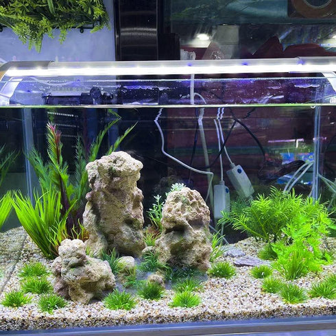 AQUA KT Aquarium Landscape Foreground Grass, Seaweed Green Plants for Marine Freshwater Fish Tank Decor