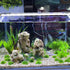 AQUA KT Aquarium Landscape Foreground Grass, Seaweed Green Plants for Marine Freshwater Fish Tank Decor