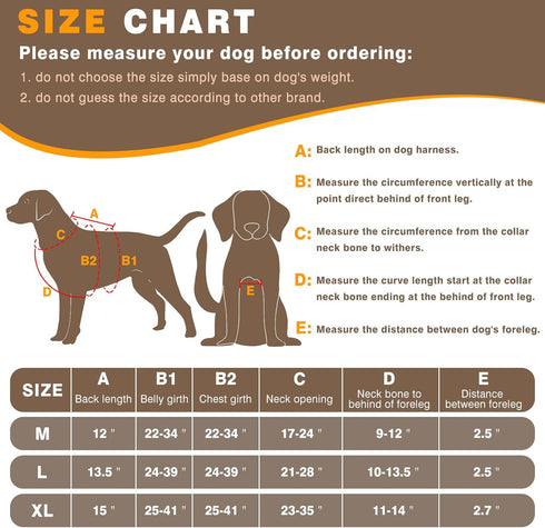 WINSEE Service Dog in Training Vest, Tactical MOLLE Vest for Large Dog, 10 Pet Patches, 2 Handles
