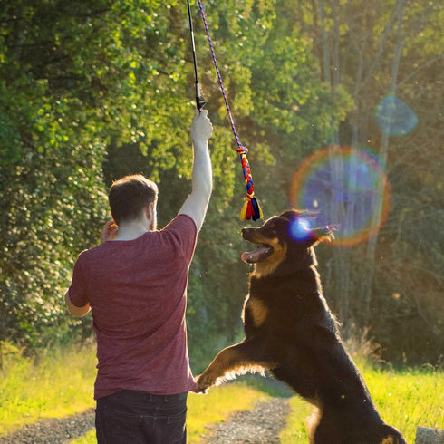 Flirt Pole for Dogs, Interactive Lures Durability Rope, Chase and Tug of War Puppy Toy for Small Medium Dogs