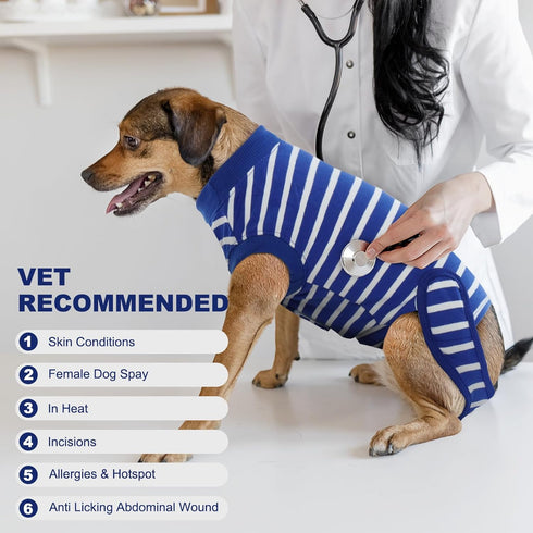 IDOMIK Dog Recovery Suit - Adjustable Anti-Licking Post Surgery Onesie, Soft Abdominal Wound Bandage & E-Collar