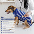 IDOMIK Dog Recovery Suit - Adjustable Anti-Licking Post Surgery Onesie, Soft Abdominal Wound Bandage & E-Collar